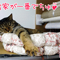 120119-【猫アニメ】お家が一番にゃ！