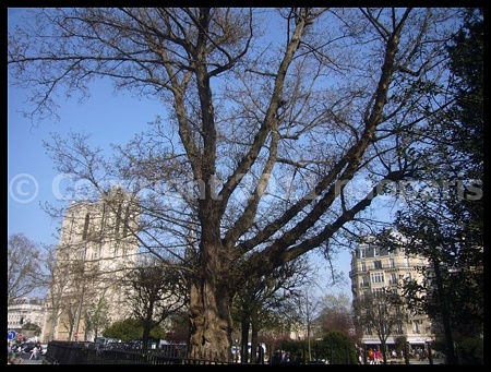 P2680419