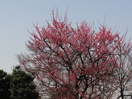 DSC04175_R