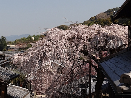 DSC04223_R