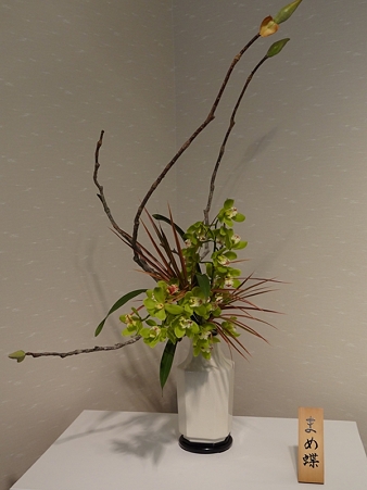 DSC04329_R