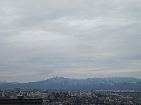 1月22日11:00