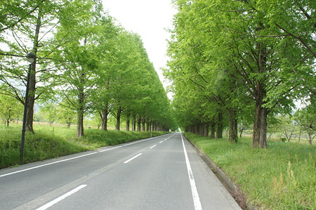 DSC00920