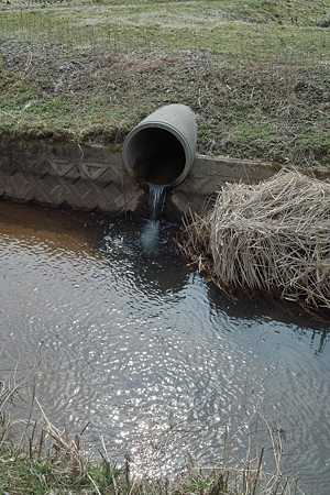 Creek03112012dp2-04