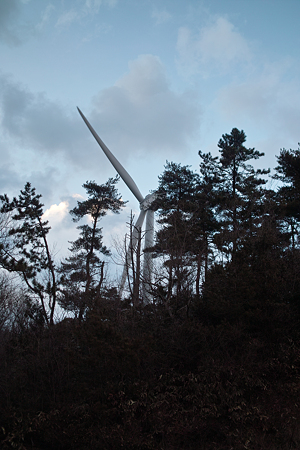 Windmill03122012dp2