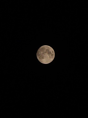 Moon07142011pntx02
