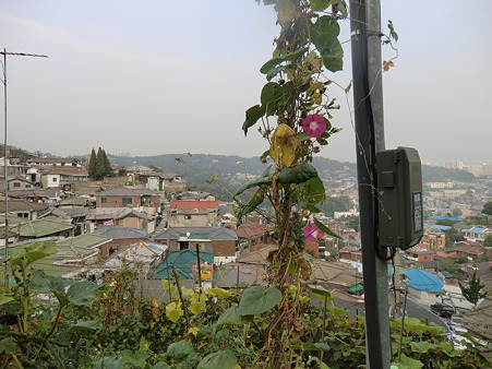 CIMG3237 CIMG3237