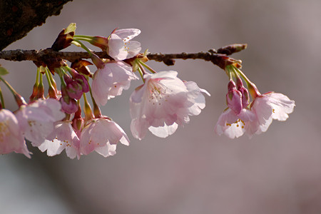 IMG_9095_DxO