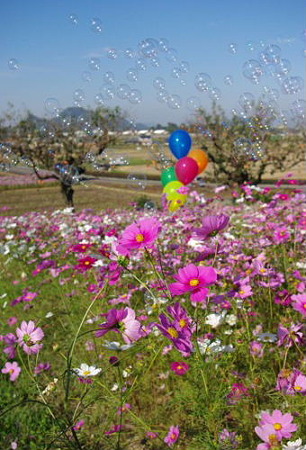 IMGP8767_1029