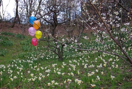 IMGP8915_0325