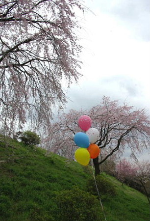 IMGP0327_0407
