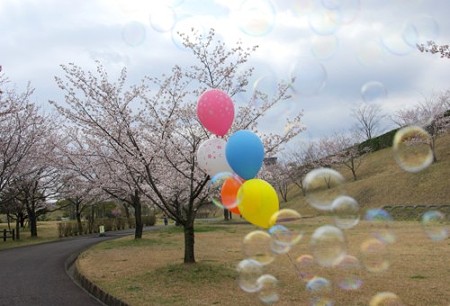 IMGP0430_0407
