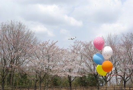 IMGP0083_0407
