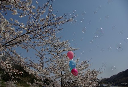 IMGP0413_0408a
