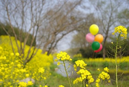 IMGP1356_0408b