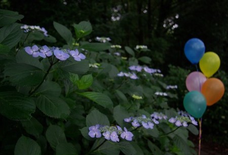 IMGP0274_0617