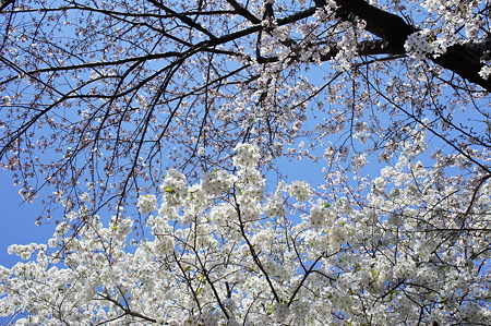 DSC02013