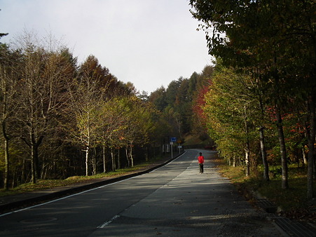八ヶ岳 293