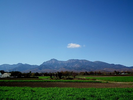 八ヶ岳 561