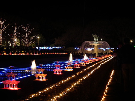 昭和記念公園 265