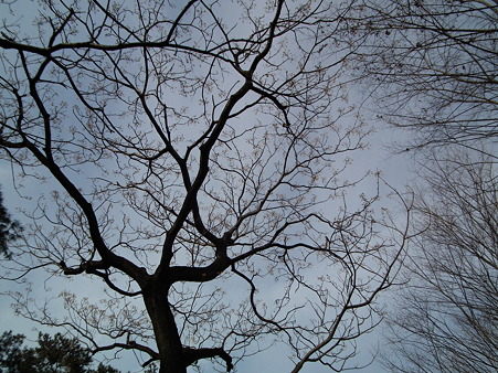 DSCF0022