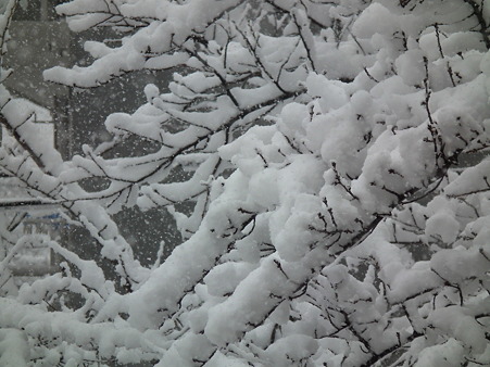DSCF0022