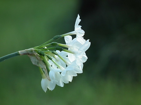 DSCF0560