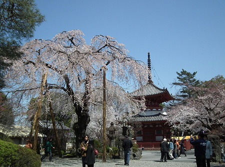 DSCF0052
