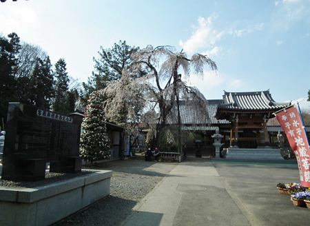 DSCF1002