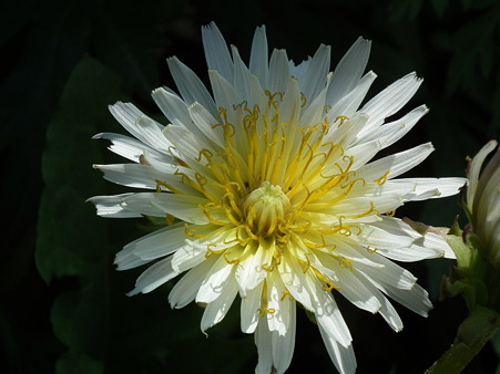 DSCF0102