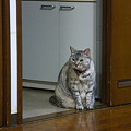 Photos: 今は・・・ここまで・・・