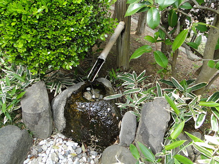 市川市万葉植物園