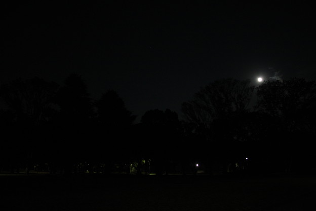 夜の代々木公園は真っ暗 写真共有サイト フォト蔵