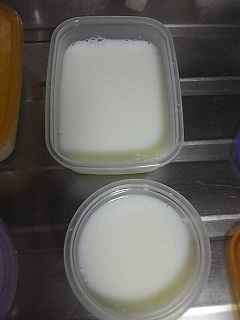 牛乳寒天