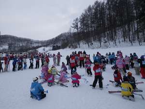 IMGP0390_R