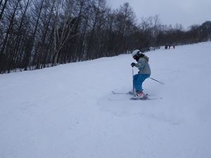 IMGP2239_R