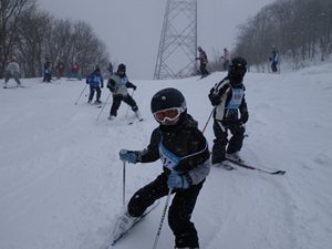 IMGP2490_R