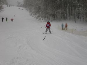 IMGP2574_R