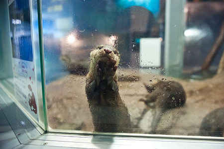 notojima120204241