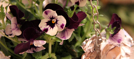 20120128_3775