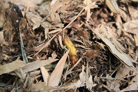 20120418_3996