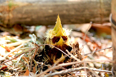 20120418_3998