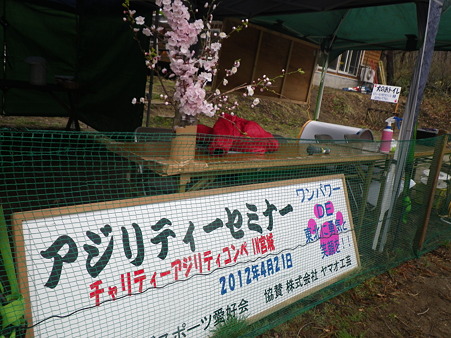 IMGP2425