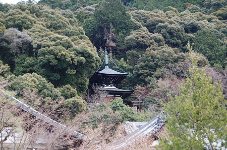 2012年01月08日_DSC_0268