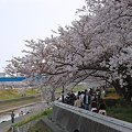 Photos: 20110410_153824