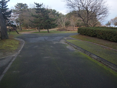 120109_091342