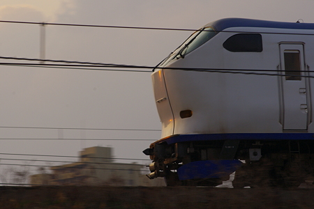 IMGP7290