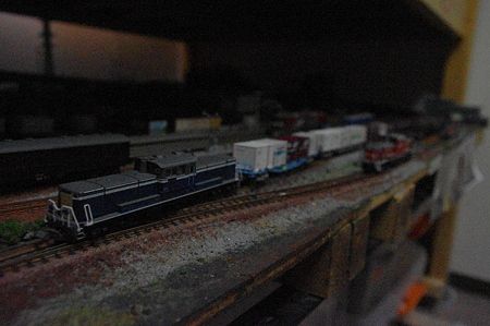IMGP8423
