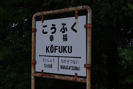 IMGP2451