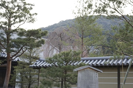 DSC01403